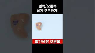 어디가 왼쪽이고 오른쪽이지? | 이 영상 하나로 정리