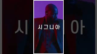 역시 시그니아!